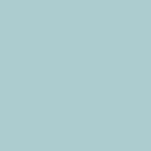 AK 1317