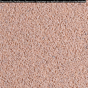 TM229