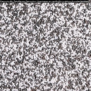 TM243