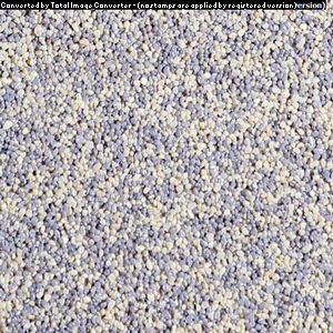 TM246