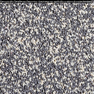 TM247